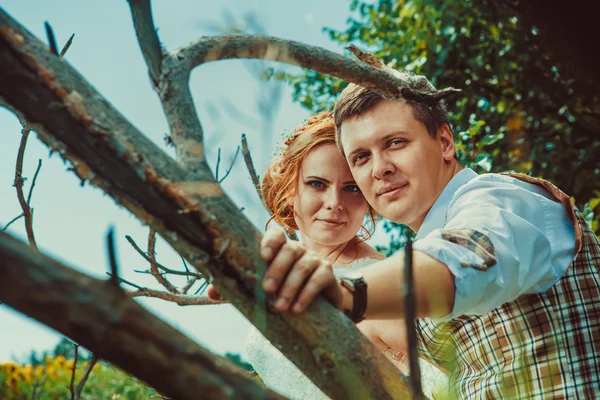 Šťastný, líbající se pár sedí na větvi starého stromu na — Stock fotografie