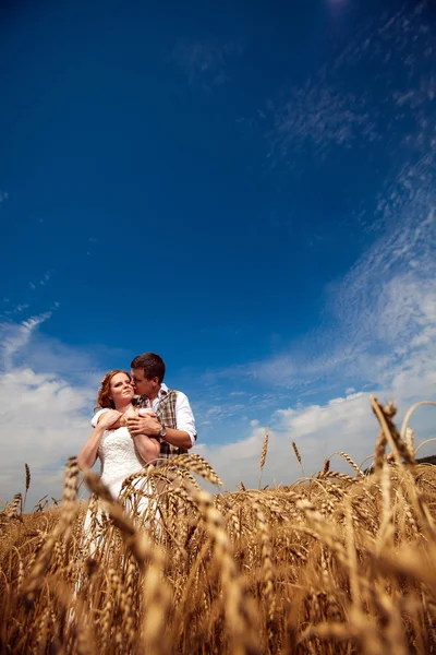 Mutlu çift buğday alan arka plan üzerinde öpüşme. — Stok fotoğraf