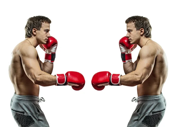 Os boxers musculares estão prontos para a luta. Isolado em backgroun branco — Fotografia de Stock