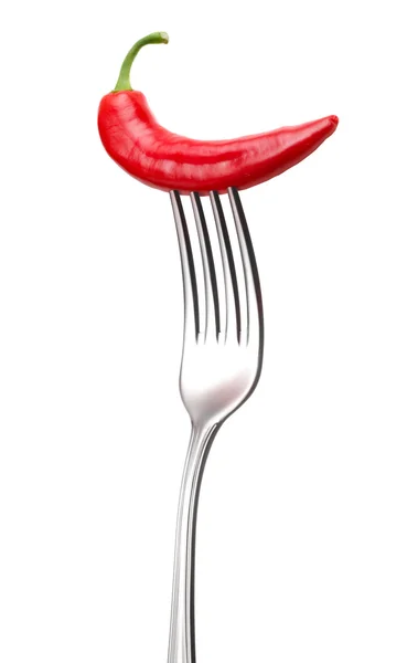 RÖD HOT CHILLI PEPPER — Stockfoto