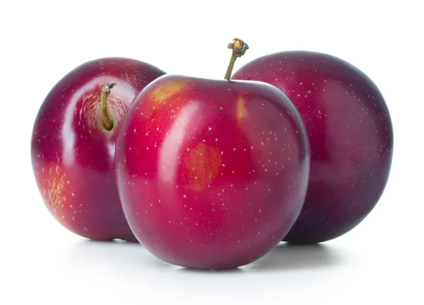 Three plums on white background — Stock Photo, Image