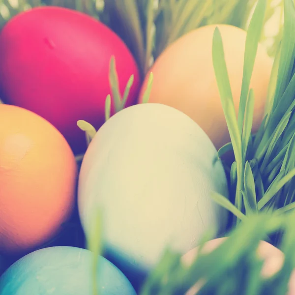 Çimenlerdeki paskalya yumurtaları — Stok fotoğraf