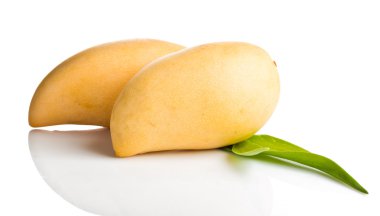 mango meyve, izole
