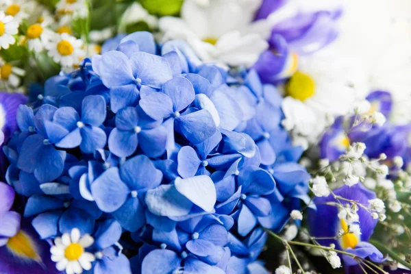 Blue hydrangeas  and chamomiles Bouquet — Stock Photo, Image