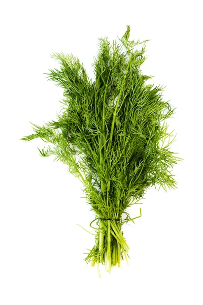 Bunch of fresh dill — Stock Photo, Image