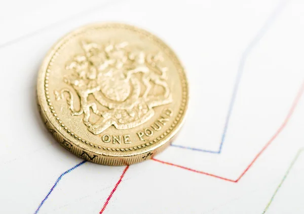 One pound coin — Stock Photo, Image