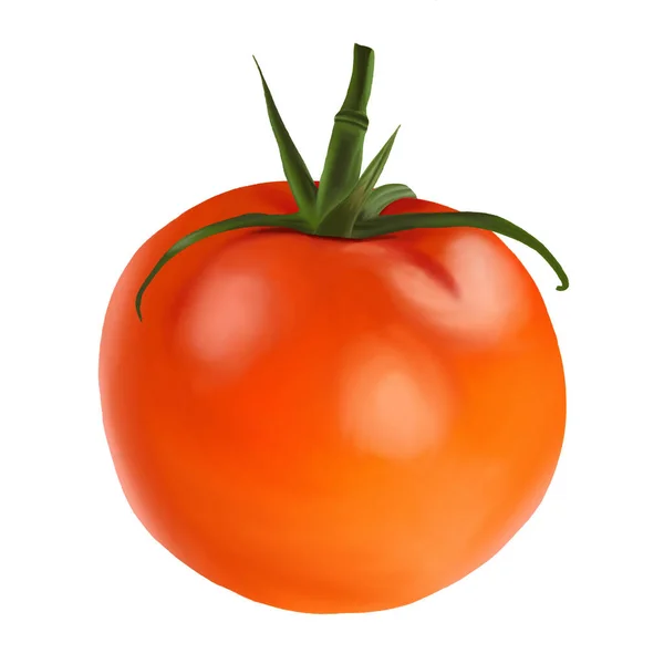 Röd Glänsande Tomat Vit Bakgrund — Stockfoto