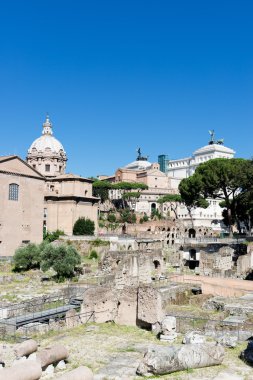 Roma harabeleri, forum 
