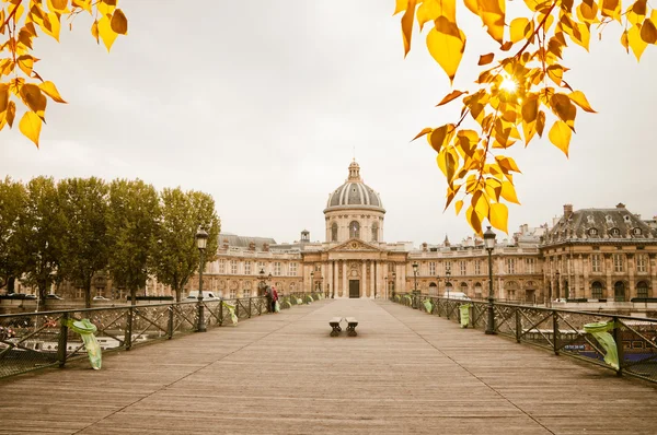 "Le pont des Arts" with the French Institute — Stock Photo, Image