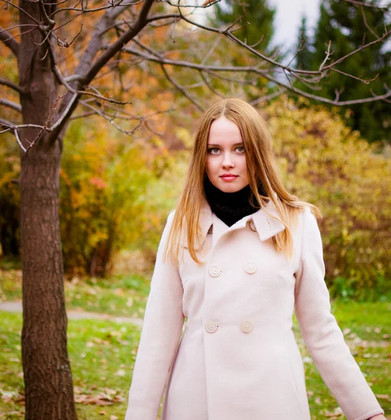 Jonge vrouw in herfst bos — Stockfoto