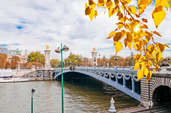 Pont Alexandre III - Ponte di Parigi, Francia . — Foto Stock