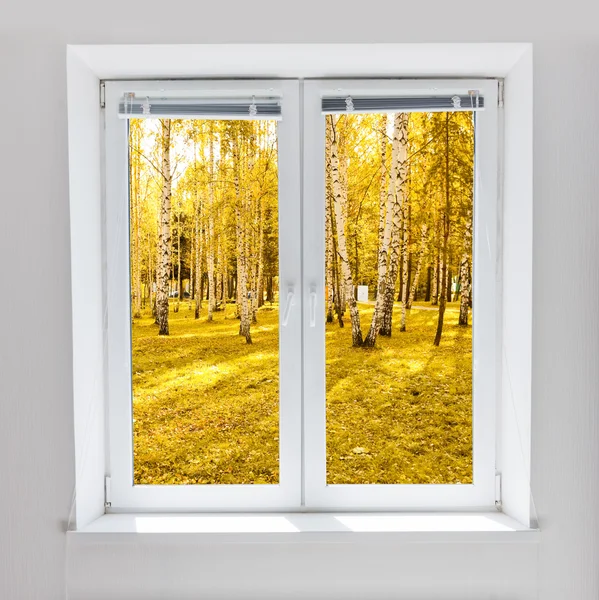 Autumn window — Stock Photo, Image