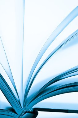 bir kitabın sayfaları 