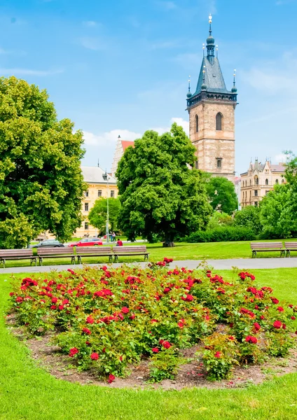 Rathaus in Prag — Stockfoto