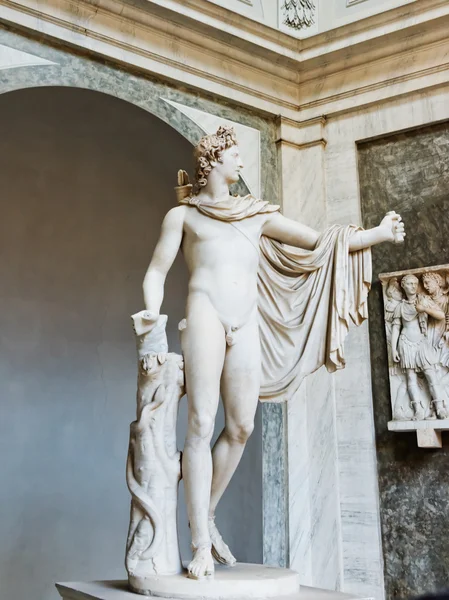 Estatua de Apolo Belvedere . — Foto de Stock