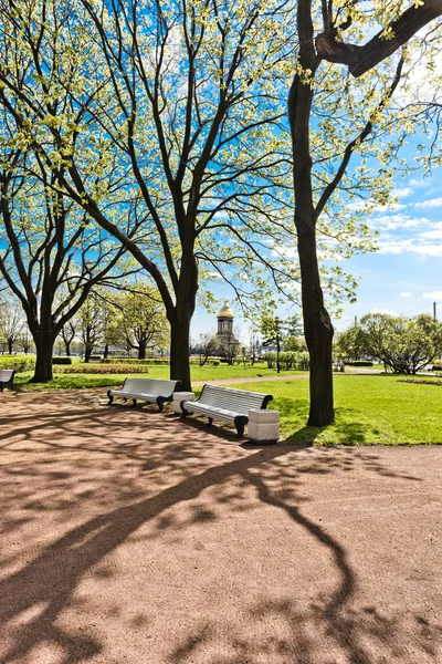 Grüner stadtpark in saint-petersburg — Stockfoto