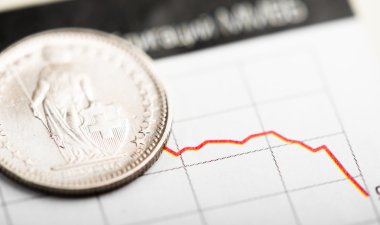 İsviçre Frangı para