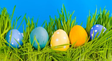 Çimenlerdeki paskalya yumurtaları