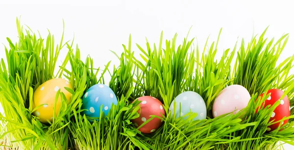 Easter eggs in grass — Stock Photo, Image