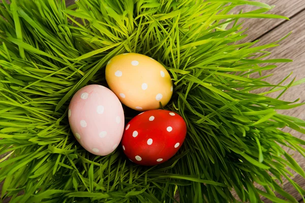 Easter telur di rumput — Stok Foto