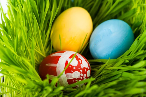 Easter eggs in grass — Stock Photo, Image