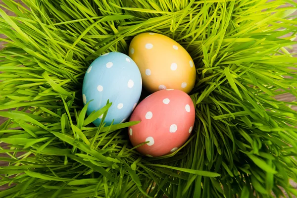 Easter eggs in grass — Stock Photo, Image