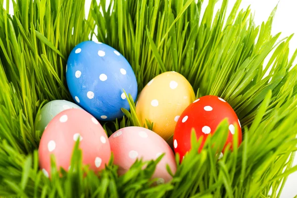 Easter eggs on grass — Stock Photo, Image