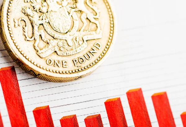 One pound coin — Stock Photo, Image