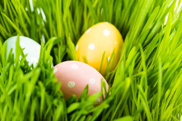 Easter eggs in grass — Stock Photo, Image