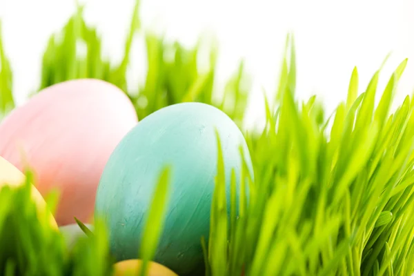 Easter eggs in grass — Stock Photo, Image