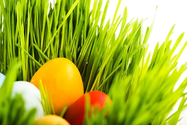 Easter eggs in grass — Stock Photo, Image