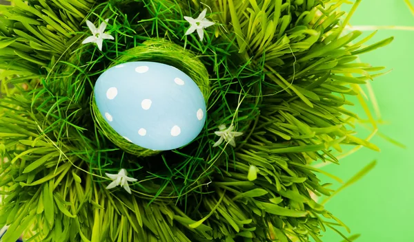 Colorful easter egg — Stock Photo, Image