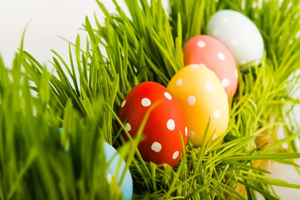 Easter eggs in grass — Stock Photo, Image