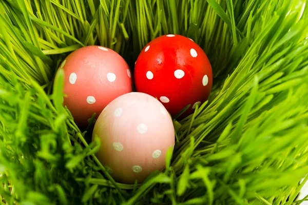 Uova di Pasqua variopinte — Foto Stock