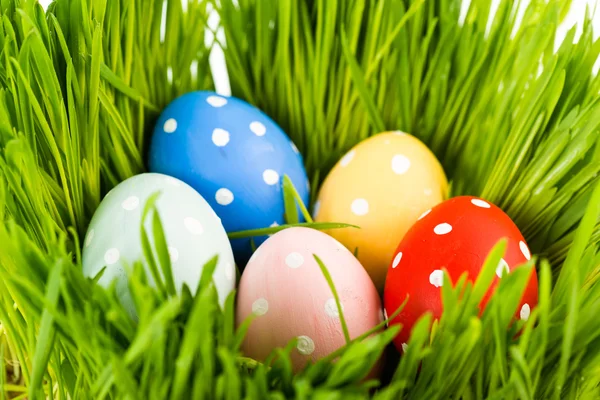 Colorful easter eggs — Stock Photo, Image