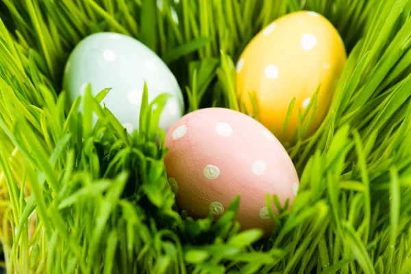 Uova di Pasqua sull'erba — Foto Stock