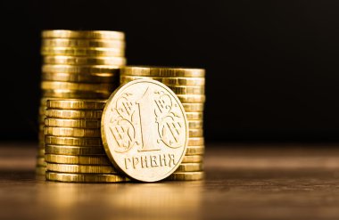 Ukraynalı hryvnia madeni para ve para