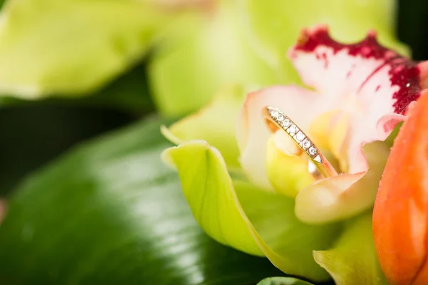 Zlatý zásnubní prsten — Stock fotografie