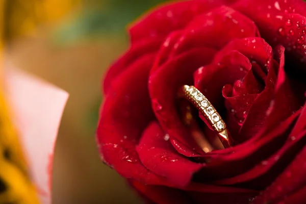 Engagement ring in rose flower — Stock Photo, Image