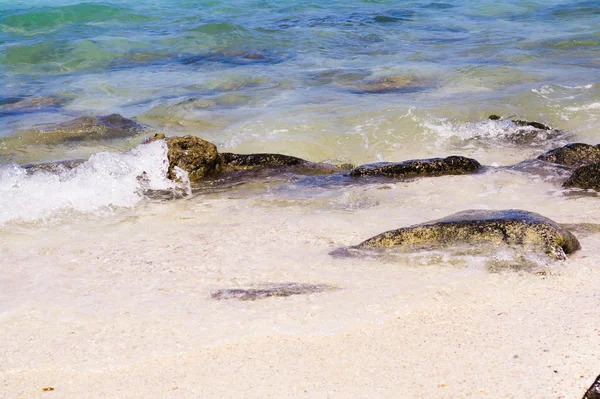 Plage avec rochers dans l'eau — Photo