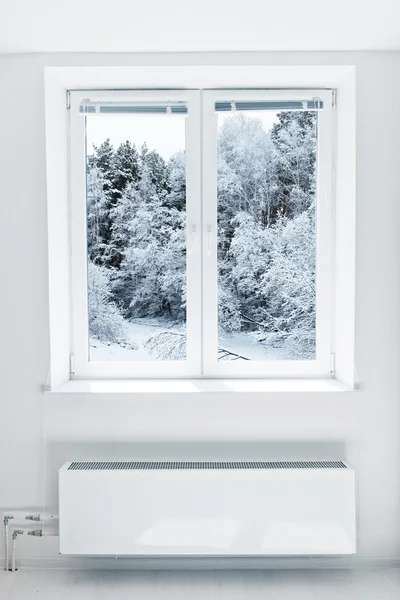 透过窗户看到的冬季风景 — 图库照片