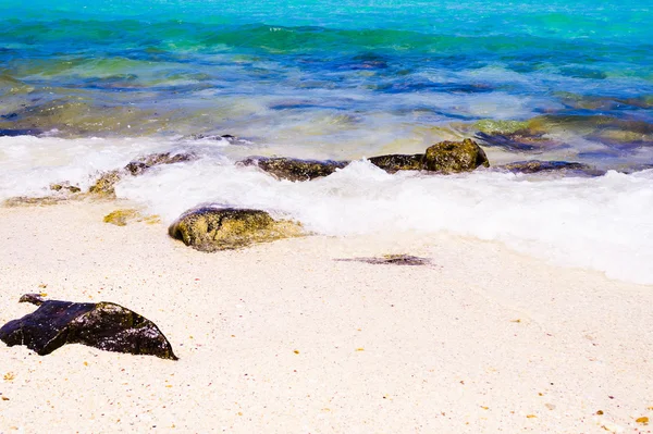 Praia com rochas na água — Fotografia de Stock