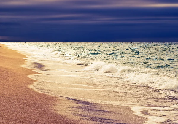 Летний берег моря — стоковое фото