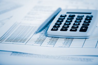 Finansal muhasebe nesneleri