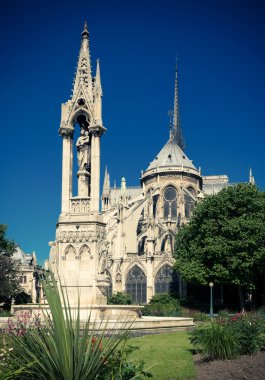 Notre Dame de Paris Katedrali
