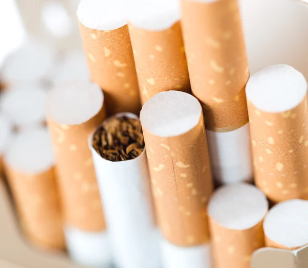 Тютюн в сигаретах з коричневим фільтром — стокове фото
