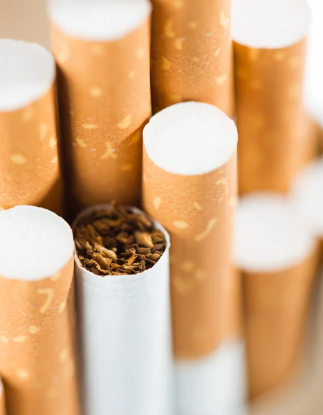 Tobacco in cigarettes with a brown filter — Stock Photo, Image