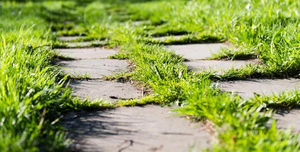 Footpath on th green grass — Stock Photo, Image