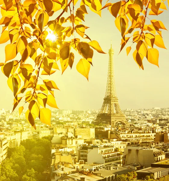 Famosa Torre Eiffel —  Fotos de Stock