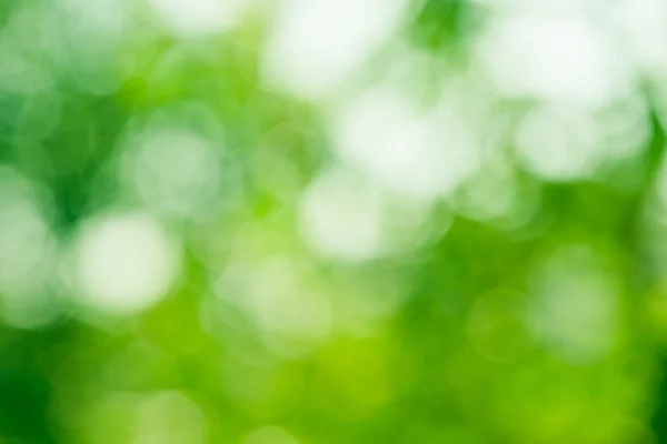 Green bio background — Stock Photo, Image